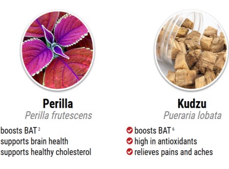 perilla-kudzu-natural-ingredients